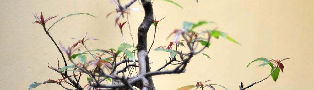 Komunikaty i materiały